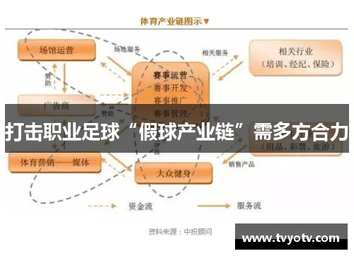 打击职业足球“假球产业链”需多方合力